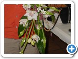 Imagen 1431