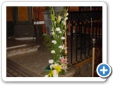 Imagen 1472
