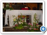 Imagen 1475