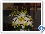 Imagen 1483