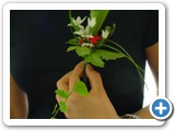 Imagen 1493