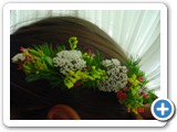 Imagen 1502
