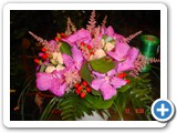 Imagen 1504