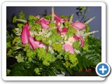 Imagen 1508