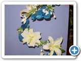 Imagen 1509