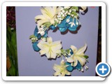 Imagen 1510