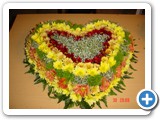 Imagen 1514