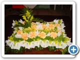 Imagen 1515