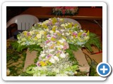 Imagen 1516