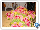 Imagen 1517