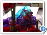 Imagen 1559
