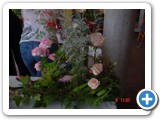 Imagen 1588