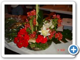 Imagen 1598