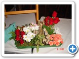 Imagen 1602