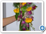 Imagen 1609