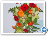 Imagen 1611