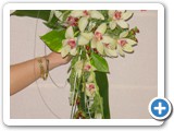 Imagen 1615