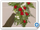Imagen 1616
