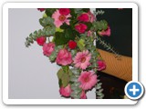 Imagen 1622