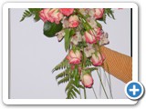 Imagen 1623