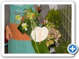 Imagen 1649