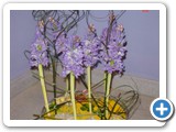 Imagen 1660
