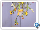 Imagen 1669