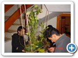 Imagen 170