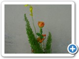 Imagen 1702