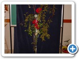 Imagen 1728