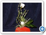 Imagen 1775
