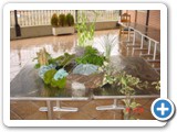 Imagen 1811