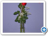 Imagen 1817