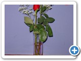 Imagen 1818