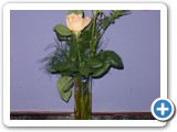 Imagen 1823