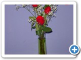 Imagen 1825
