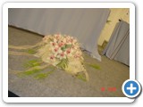 Imagen 1835