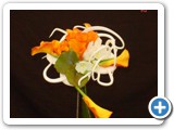 Imagen 1852