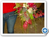 Imagen 1966