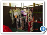 Imagen 2010
