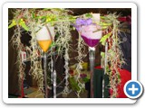 Imagen 2011