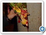 Imagen 2102