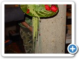 Imagen 2104