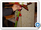 Imagen 2107