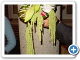 Imagen 2114