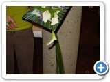 Imagen 2115