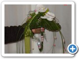 Imagen 2128