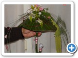 Imagen 2129
