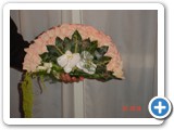 Imagen 2131