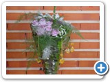 Imagen 2135
